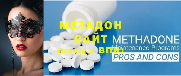 прущие грибы Сосновый Бор
