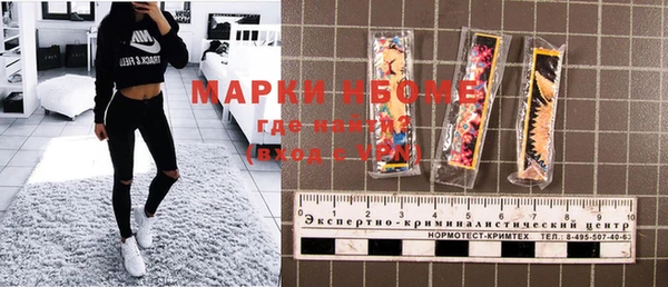 прущие грибы Алзамай