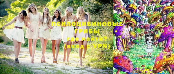 ГАЛЛЮЦИНОГЕННЫЕ ГРИБЫ Абинск