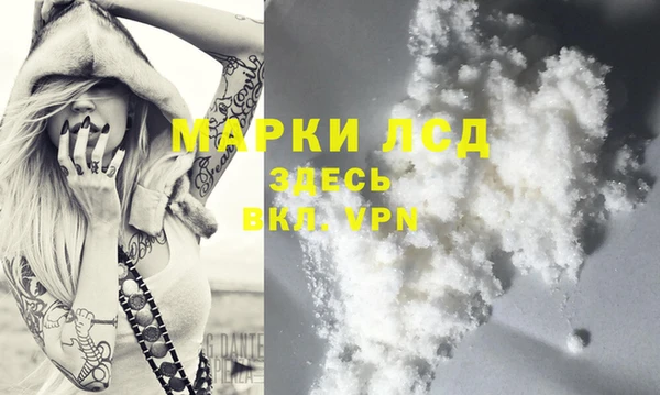 гидра Алексеевка