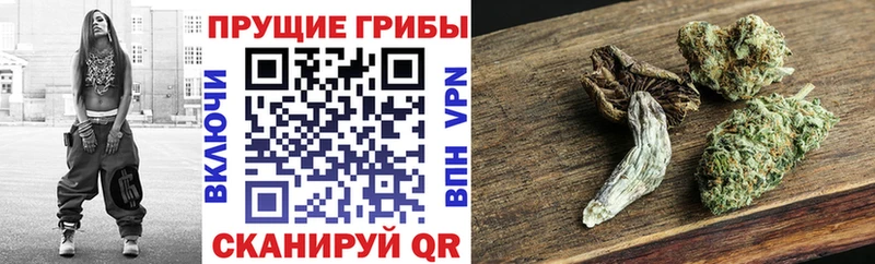Галлюциногенные грибы GOLDEN TEACHER  Боровичи 