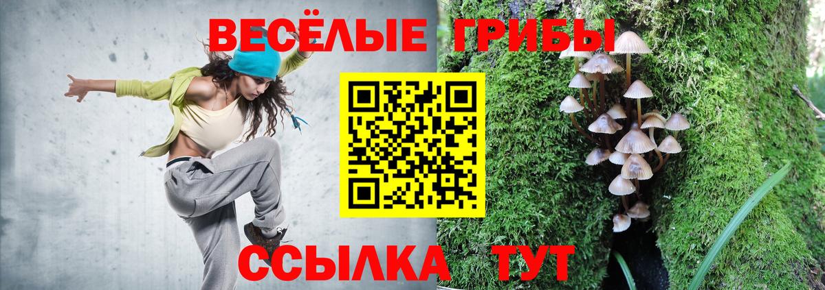Боровичи  Галлюциногенные грибы прущие грибы  Галлюциногенные грибы мухоморы  Вход с VPN 